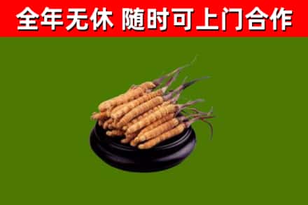 色达县烟酒回收冬虫夏草.jpg
